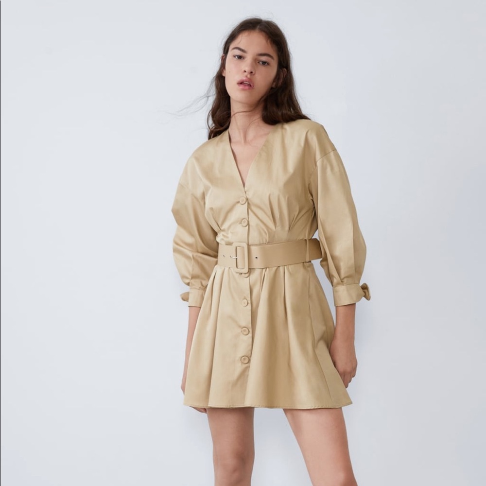 Zara Dress with belt